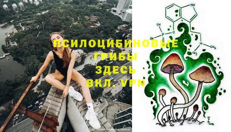 Галлюциногенные грибы MAGIC MUSHROOMS  Кировск 